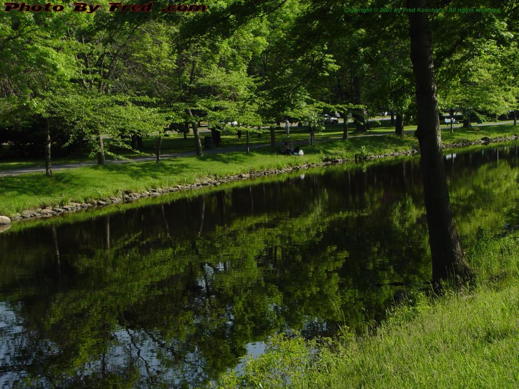 Tranquil River View, Esplanade