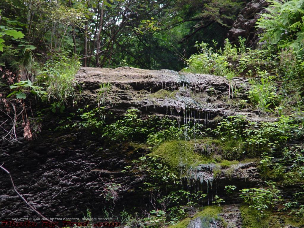 Mossy Falls, Detail, House Gully, Groveland, NY