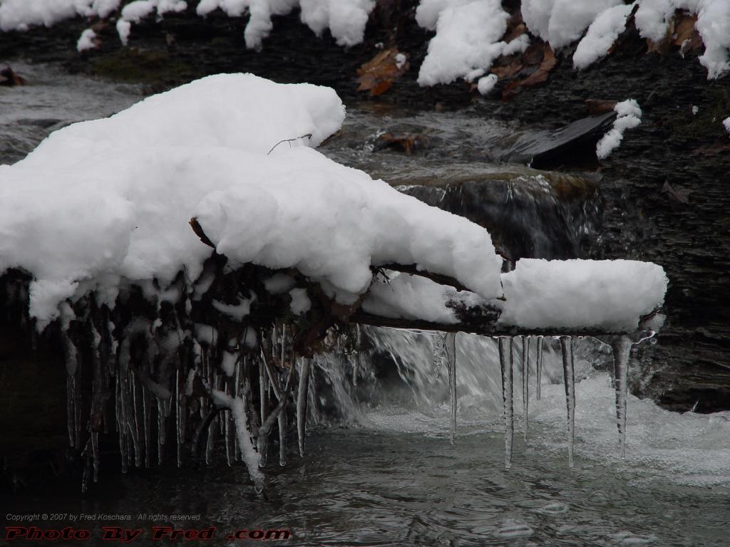 Gully Icicles, Groveland, NY