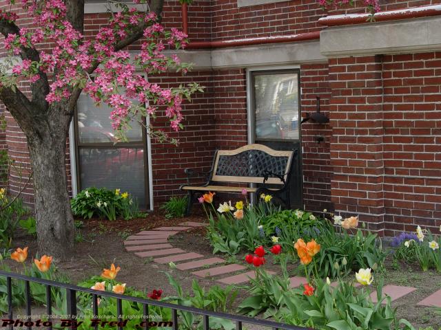 Spring Garden, Brookline